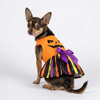 Fitwarm Halloween Pumpkin Dog Dress, Funny Dog Halloween Costumes, Doggy Clothes for Small Dogs Girl, Pet Apparel, Orange, Black, Purple, Small