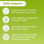 Sanar Naturals Nopal Capsules - Fiber Supplement, GLP-1 Support - Prickly Pear Cactus for Digestive Gut Health - Sugar Free, Vegan, Gluten Free,120 Pills