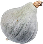 Winter Squash, Blue Hubbard - Squash Seeds