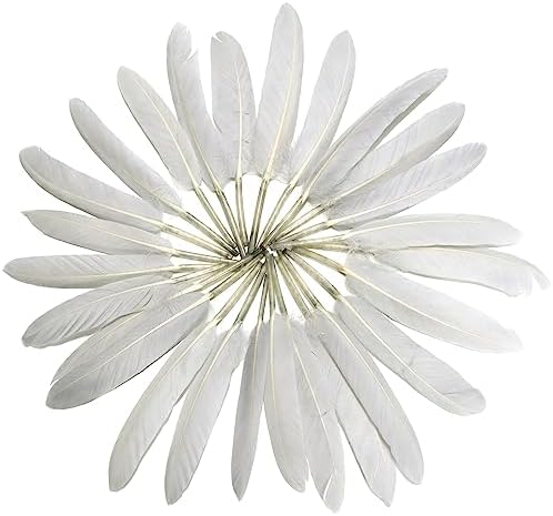 FeelfunFeather 120pcs Light Grey Goose Cochettes Feather Natural Bulk 4-6 inch 10-15cm for Wedding Party Christmas Decorations DIY Crafts Goose Cochettes Feather