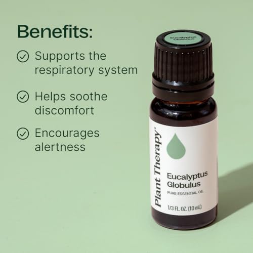 Plant Therapy Eucalyptus Globulus Essential Oil 10 mL (1/3 oz) 100% Pure, Undiluted for Diffuser, Skin, Hair, Aromatherapy DIYs, and Respiratory Support