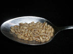 Pearled Barley 5 Pounds Pearl, USDA Certified Organic, Non-GMO Bulk, Product of USA, Mulberry Lane Farms