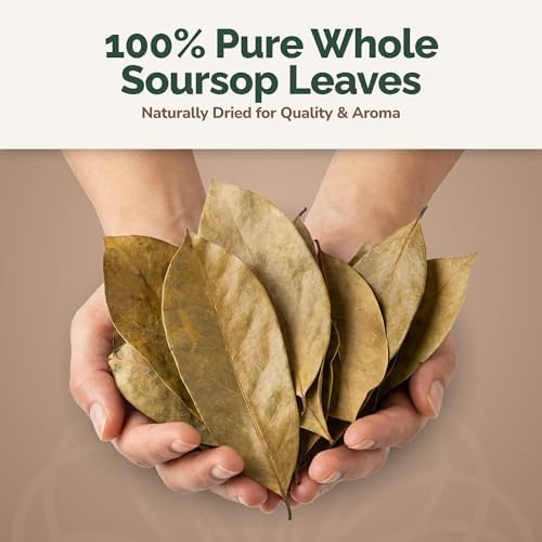 RootNRenew Soursop Leaves (Annona muricata) 3 oz, Whole, Naturally Dried Herbal Tea Leaves from Jamaica