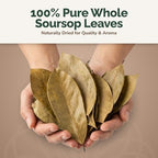 RootNRenew Soursop Leaves (Annona muricata) 3 oz, Whole, Naturally Dried Herbal Tea Leaves from Jamaica