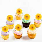 40PCS Edible Daisy Cupcake Toppers Yellow Daisy Flower Cupcake Picks for Spring Flower Baby Shower Girls Birthday Party Drink Toppers Bridal Engagement Wedding Anniversary Party Decorations Supplies