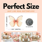 Edible Butterflies with Edible Glitter Kit - Wafer Paper Butterflies for Cakes - Cake Decorations - Cupcake Decorations - Cake Toppers (Sweet Peach)