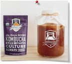 Fermentaholics BIG MOMMA Kombucha SCOBY – 12 fl o z – 6" Pellicle + 12 oz Starter Tea – Organic Kombucha Culture – Makes 1 Gallon