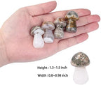 Rockcloud Set of 2 Ocean Jasper Crystal Mushroom Pocket Stones, Hand Carved Collectible Statue Figurine for Reiki Healing Home Office Decor, Brown