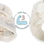 Axis Scientific Human Skull Model for Anatomy Life Size, 3-Part Anatomy Skull Includes Skull Cap with External and Interior Structures, Includes Detailed Product Manual, Skull for Anatomy