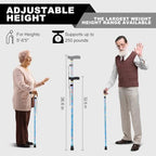 PARLORA Walking Cane for Women and Men, Collapsible, Lightweight, Sleek, Foldable Folding Cane | Walking Sticks for Seniors & Adults with Comfortable T-Handle