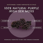 USDA Organic Irish Sea Moss – Wildcrafted Chondrus Crispus (Purple) – 100% Natural, Sustainably Harvested from Chile – Makes ~100oz of Sea Moss Gel – Nutrient-Rich Superfood – Red’s Pure Botanicals