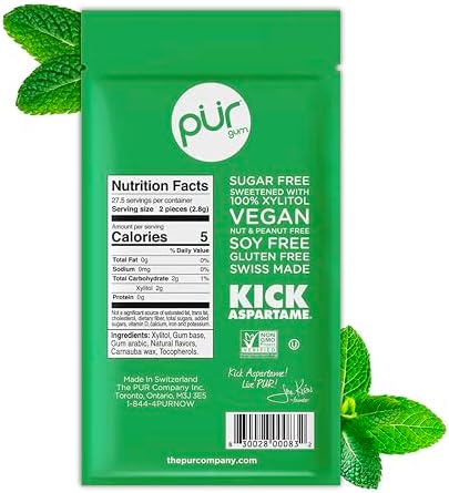 PUR Gum | Aspartame Free Chewing Gum | 100% Xylitol | Natural Spearmint Flavored Gum, 55 Pieces (Pack of 1)