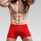2pcs Men Physiological Enlargement Underwear Magnetic Therapy Health Care Breathable Inner Pants Prostate Therapy Panties
