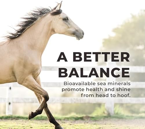 Redmond Daily Red Crushed Garlic | Horse Minerals & Vitamins Supplement | Garlic for Horses