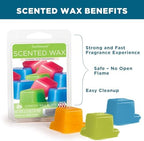 Scentsationals Wax Melts Strong Scent - Blueberry Cream Cupcakes - Long Lasting Scented Wax Cubes for Warmers, 10oz (24-Cubes)