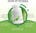 AloeCure Aloe Vera Capsules, Made with Organic Aloe Vera to Gently Support Gut Health & Digestive Comfort, Stomach Acid Buffer, Natural Immune Supplement, Aloin Free, 30ct x 300mg Capsules