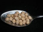Garbanzo Beans, 5 Pounds (Chick Peas), USDA Certified Organic, Dried, Non-GMO, Great for hummus, Bulk, Product of USA, Mulberry Lane Farms