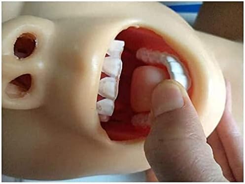 Educational Tools， Intubation of Airway Management Trainer 110-220V Intubation Manikin Training Simulator Airway Management Trainer Intubation Head Teaching Study Model Manikin