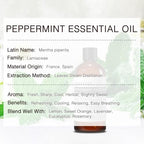 Peppermint Essential Oil, 100% Pure & Natural Peppermint Oil 100ML, Premium Grade Aromatherapy Oil for Skin Body Hair Care, Freshening Air, Mood, Diffuser, Massage, Soap and Candle Making