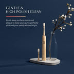 Better & Better Bamboo Sonic Toothbrush Replacement Heads, Fits Brush Only, Plant-Based Bristles, No Microplastics, Biodegradable, Soft, Gentle & Whitening, 2-Pack