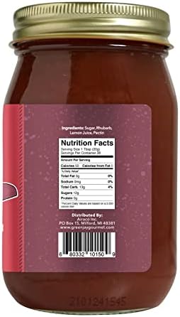 Green Jay Gourmet Rhubarb Jam - All-Natural Fruit Jam with Rhubarb & Lemon Juice - Vegan, Gluten-free Jam - Contains No Preservatives or Corn Syrup - Made in USA - 20 Ounces