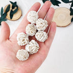 Apengshi 1/2lb Natural Desert Rose Selenite Crystal Rough Raw Stone Mineral Specimen Reiki Collection Energy Stone Home Decoration