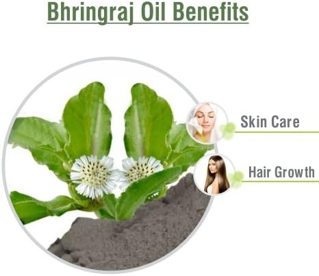 Salvia Bhringraj Oil (Eclipta alba) Pure & Natural - Undiluted Uncut Cold Pressed Premium Oil Use for Aromatherapy, Skin Care & Hair - Therapeutic Grade (1.01 Fl Oz with dropper)