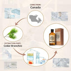 AKARZ 100ml Cedar Essential Oil Natural Cedar Oil Pure for Candle Making,DIY Skincare Products Massage,Home Spa Relaxation
