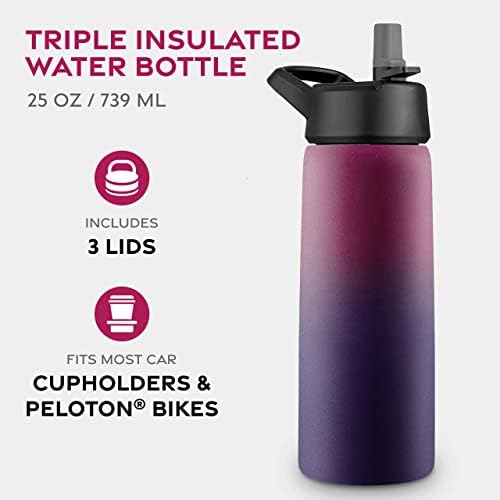 FineDine Water Bottle - Stainless Steel Insulated Water Bottle with Straw Lid, Flip Lid & Wide-Mouth Cap - Keeps Hot and Cold - 25 Oz / 739ml - Dreamy Purple