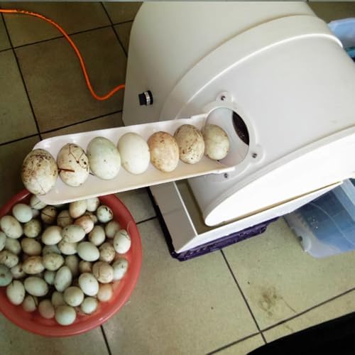 Automatic Egg Washing Machine, Electric Cleaner Tool for Chicken, Duck, Goose Eggs, 2300 Pieces/Hour, Egg Washer, Egg Cleaning Machine for Household Poultry Farm