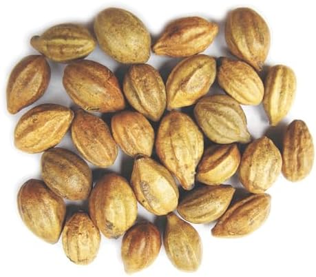 Naturals Terminalia Chebula | Kadukkai| Harad | Inknut |Haritaki Indian Origin Herbs (200g(7 oz))