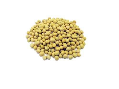 Soya Beans by Jalpur