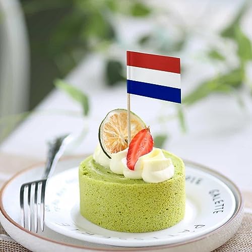 100PCS Netherlands Dutch Small Toothpick Flags Decor Mini Cupcake Toppers Cocktail Picks