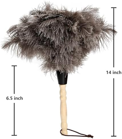2pcs Ostrich Feather Dusters Natural Feathers Duster with Wooden Handle Natural Ostrich Feathers for Home Cleaning and Office Finishing Duster(2pcs，Length14”