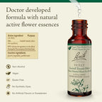 Bach Original Flower Remedies, Holly (Non-Alcohol Formula) - Goodwill Towards Others - Natural Homeopathic Flower Essence for Emotional Balance - Vegan, Gluten Free, Sugar Free - 10mL Dropper