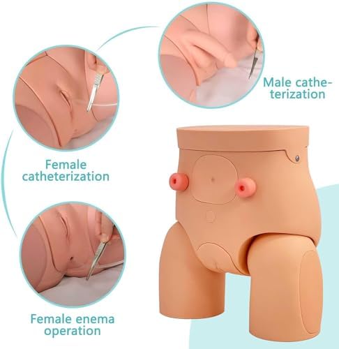 ZAIED Male and Female Manikin PVC Urinary Catheterization Model Nursing Practice Simulator Interchangeable Mannequin for Nursing Medical Training