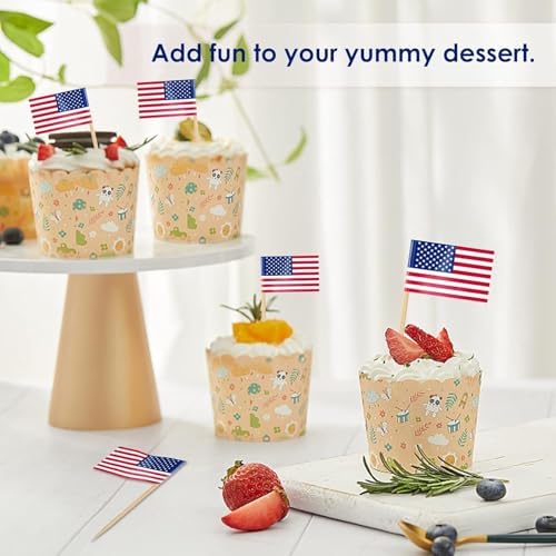 AhfuLife 100pcs World Cup Toothpick Flags Cake Toppers for World Cup Soccer 2026 Decorations, 48 Countries Cocktail Stick Flags for Sandwich Cupcake Toppers Soccer Bar Party Supplies