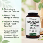 PRISTINE'S Astragalus Root Supplement Capsules - 1000mg 90 Day Supply- Immune Support Supplement Capsules - Herbal Adaptogen - Healthy Aging, Heart & Lung Health