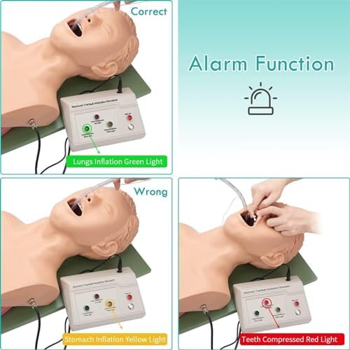 Adult Intubation Manikin Model, Oral Nasal Tracheal Intubation Simulation Airway Management Trainer for Professional Nurse Emergency Education