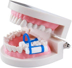 20pcs Cotton Roll Holder Clip, Disposable Dental Isolator Tool Cotton Roll Holder for Dental Lab or Clinic (50pcs)