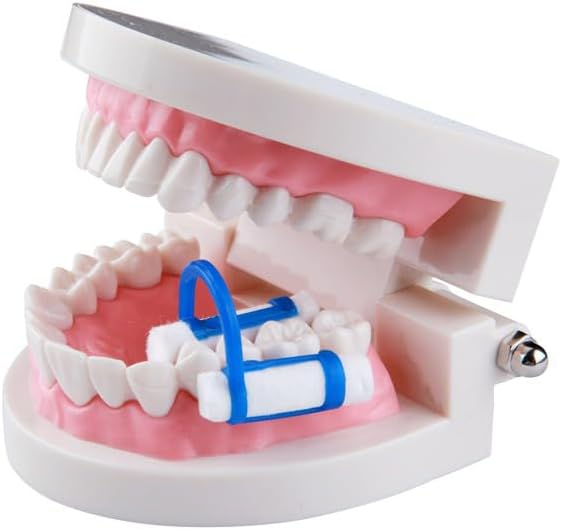 20pcs Cotton Roll Holder Clip, Disposable Dental Isolator Tool Cotton Roll Holder for Dental Lab or Clinic (50pcs)