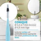 PHB Plus Conical 1.3 Brush Head in Blister Pack