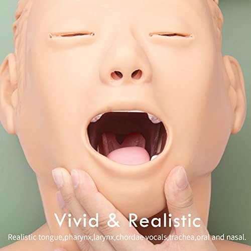 PVC Oral Nasal Intubation Manikin with Tooth Alert Device Simulator Airway Management Trainer Intubation Head Teaching Teaches,Nursing Mannequin