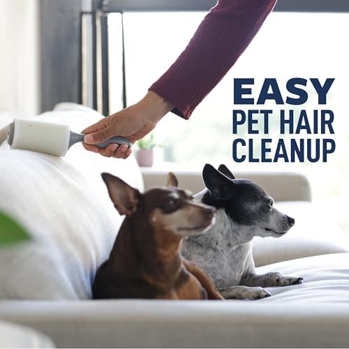 Scotch-Brite Everyday Clean Lint Roller, White, Manual Operation, 3 Pack, Lint Remover for Pet Hair, Dark Clothes, Furniture, and Dusty Surfaces, 300 Adhesive Sheets Total