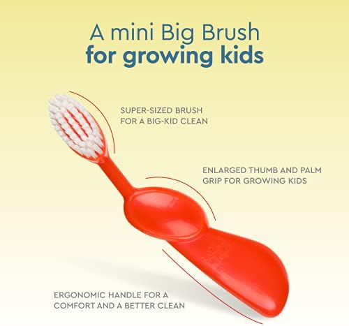 RADIUS Children's Toothbrush, Kids Brush, Extra Soft Bristles, Right Handed, Green/Blue/Orange, BPA Free & ADA Accepted, Designed to Clean Delicate Teeth & Gums for Children 6 Years & Up, Pack of 3