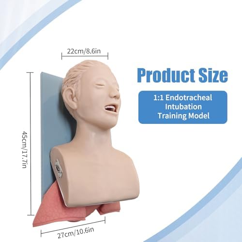 PVC Endotracheal Intubation Human Model - Tracheal Intubation Manikin Simulator Teaching aid Kit with endotracheal Tube, Oral/Nasal Intubation Human Model for Science Education/Practice/Study