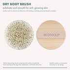 EcoTools Dry Body Brush, Cruelty-Free Bristles Exfoliate & Smooth Skin, Dry Brushing Removes Flaky Skin, May Help Improve Circulation & Tone, Eco-Friendly Skincare Tool, Vegan & Cruelty-Free, 1 Count