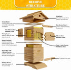 Bee Hive Starter Kit – Automatic Beehive Box Set for Easy Beekeeping, Complete Bee Hive Boxes for Beginners
