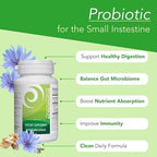 New Earth Acidophilus - Probiotic for Upper GI Support - Lactobacillus DDS-1, Inulin Prebiotic & Organic Wild Microalgae - 5 Billion CFU for Gut Health, Digestion & Immune Function - Vegan, 30 ct