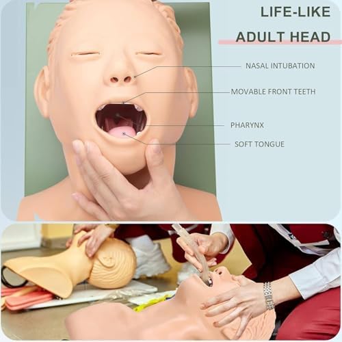 Training Manikin,Airway Management Trainer,Tracheal Intubation Strain Training Simulator Model,Intubation Head Teaching Study Manikin,Oral Nasal Intubation Dummy Training Simulator